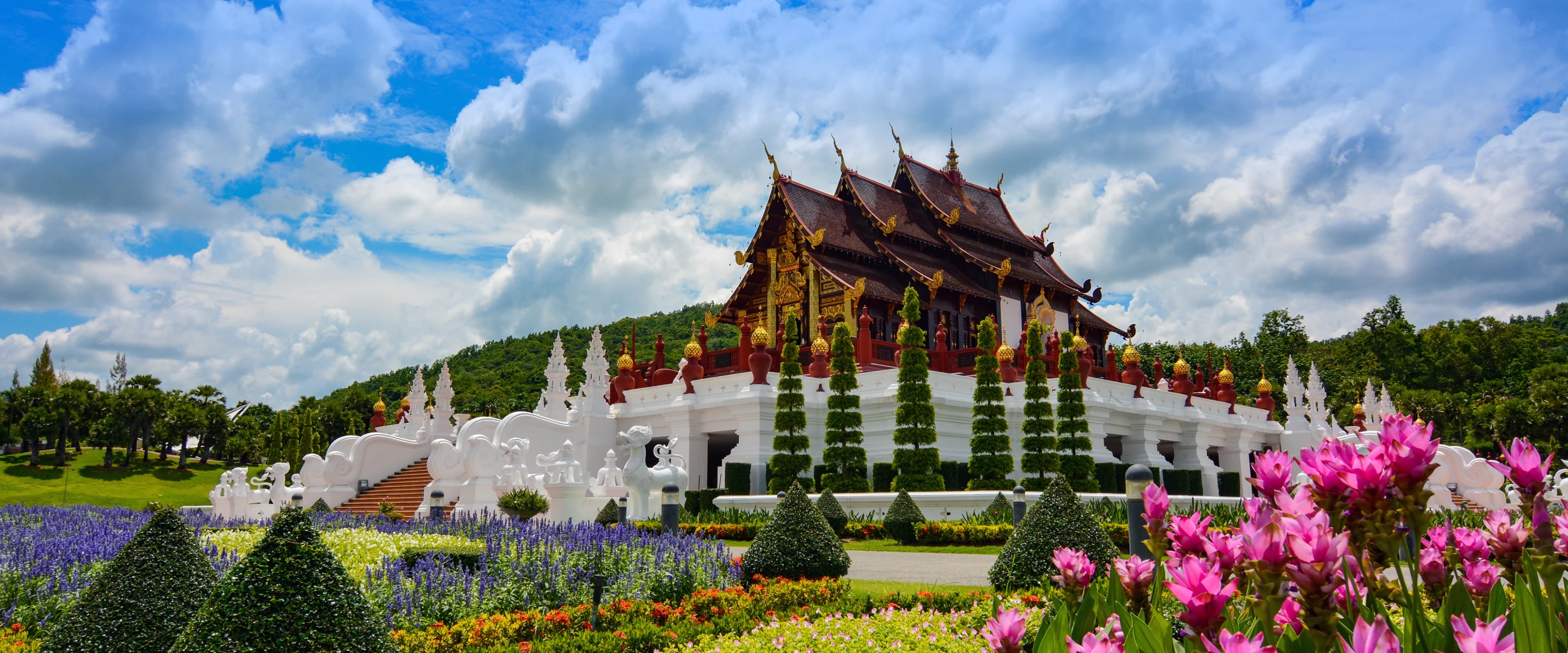 Nearby Attractions